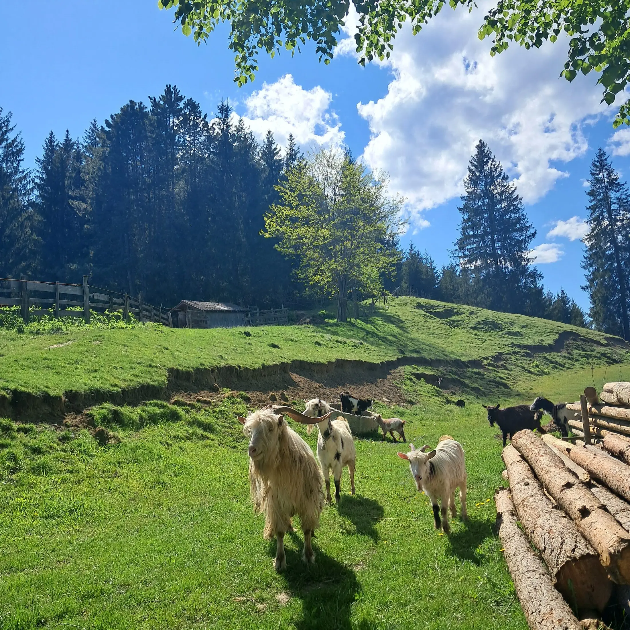 Paysages environnants 12