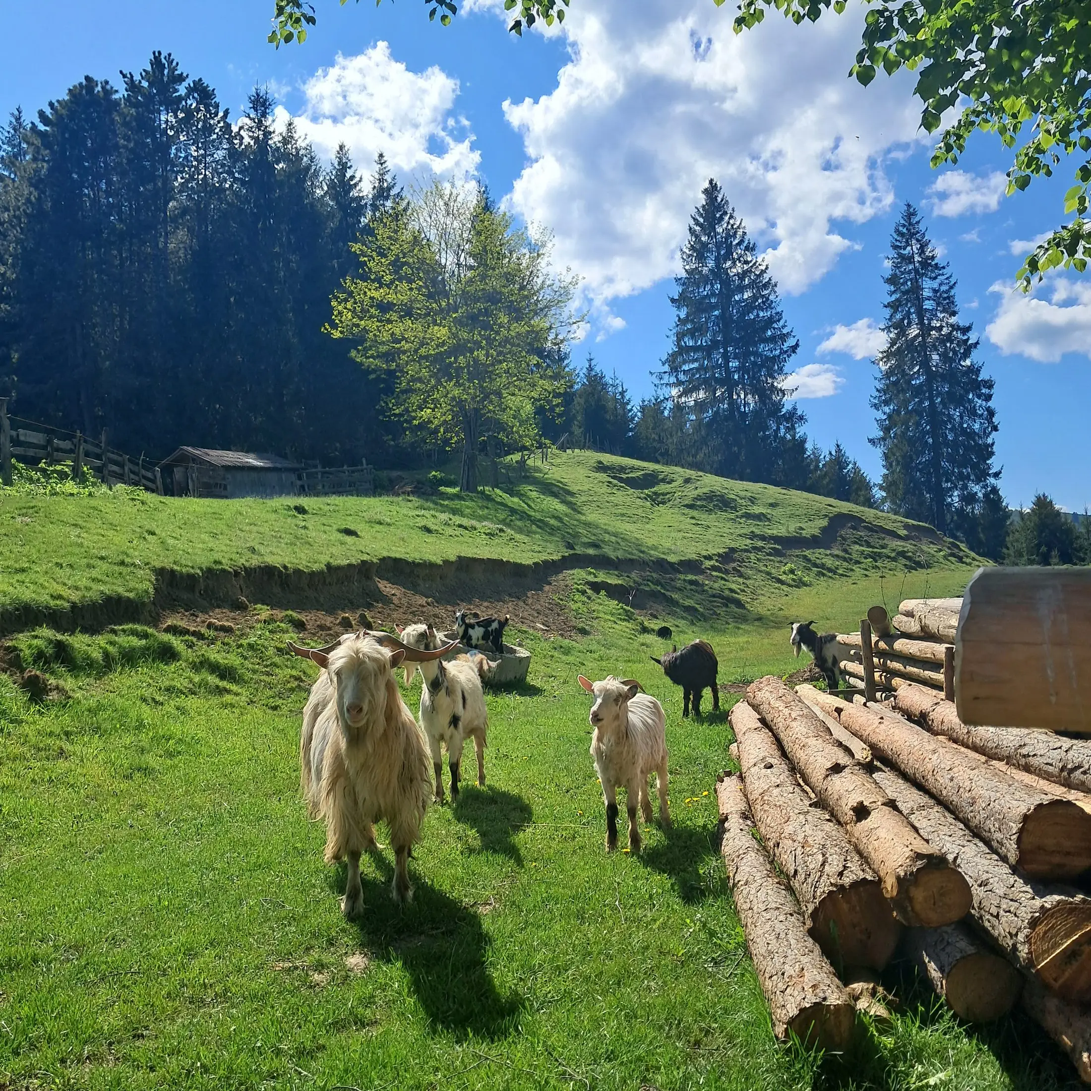 Paysages environnants 13