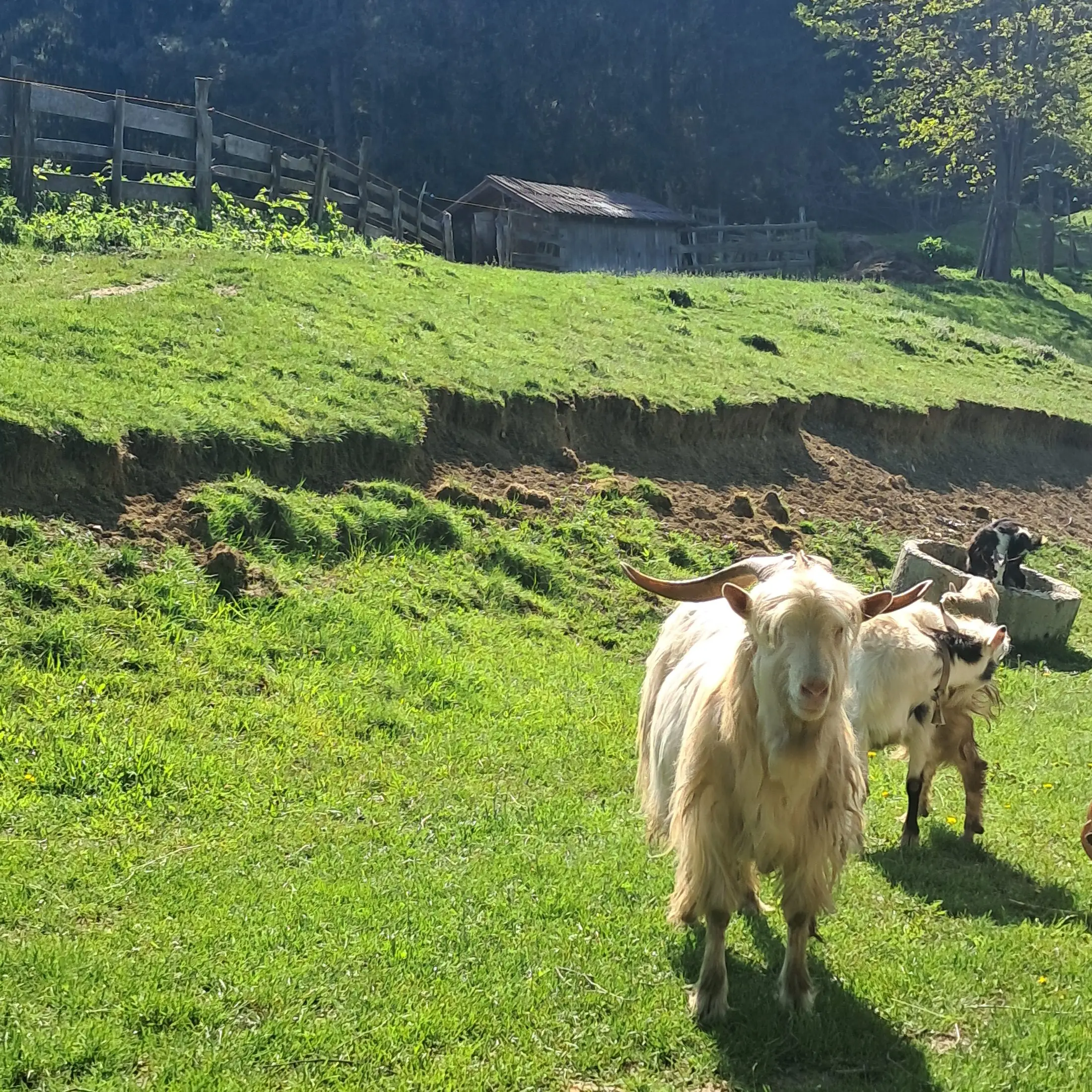 Paysages environnants 14
