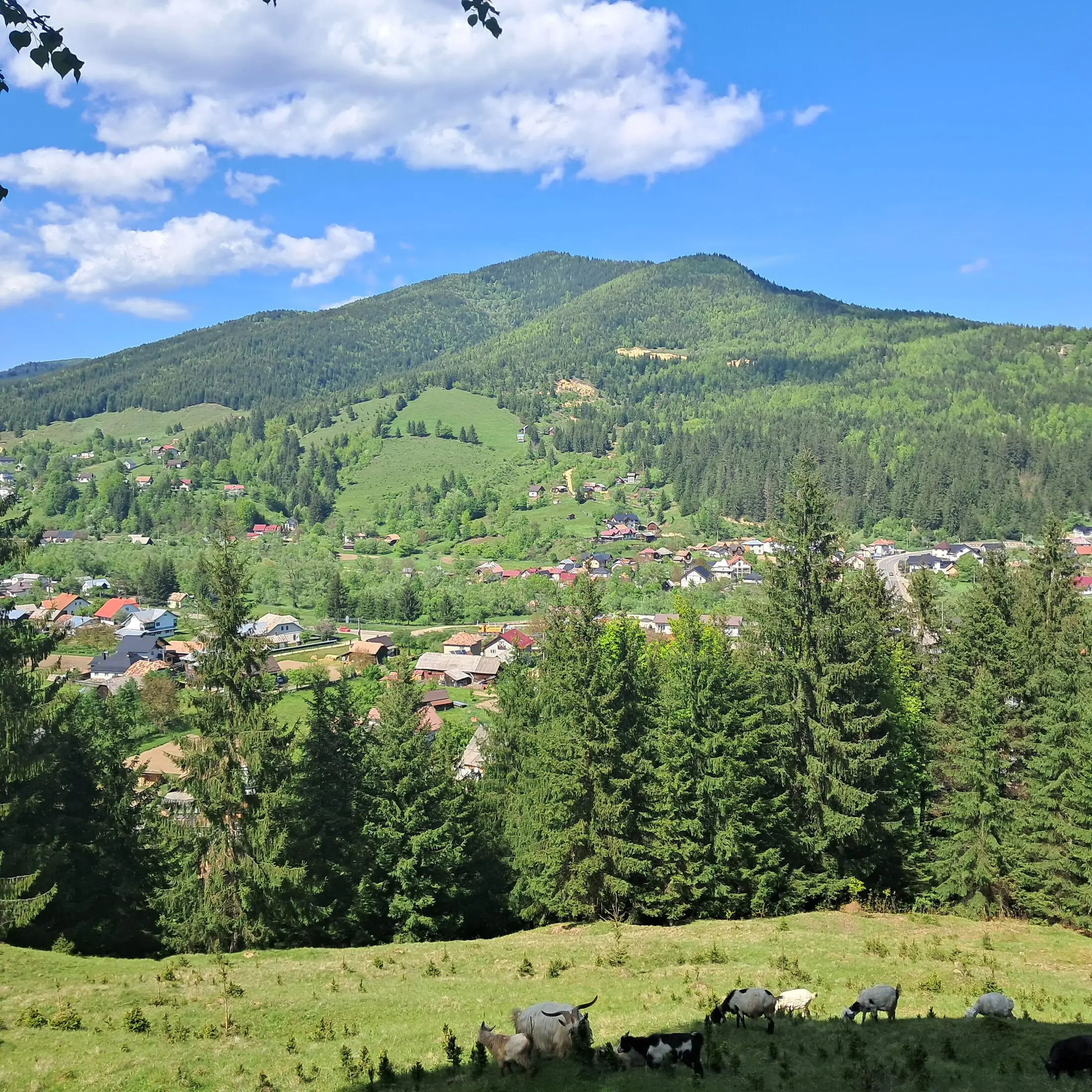 Paysages environnants 15