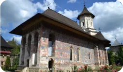 Activități locale 3