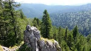 Natură și peisaje 2